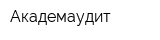Академаудит
