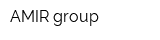 AMIR-group
