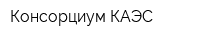 Консорциум КАЭС