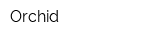 Orchid