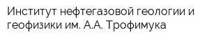 Институт нефтегазовой геологии и геофизики им АА Трофимука