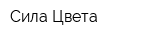 Сила Цвета