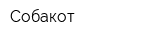 Собакот