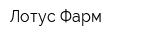 Лотус Фарм
