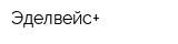 Эделвейс+