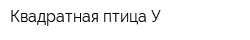 Квадратная птица У