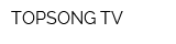 TOPSONG TV
