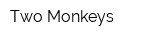 Two Monkeys