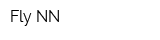 Fly-NN