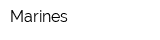 Marines
