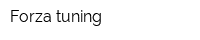 Forza tuning