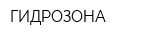 ГИДРОЗОНА