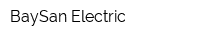 BaySan Electric