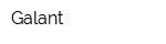 Galant