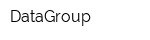 DataGroup
