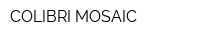 COLIBRI MOSAIC