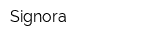 Signora