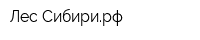 Лес Сибирирф
