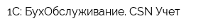 1С: БухОбслуживание CSN-Учет