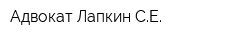 Адвокат Лапкин СЕ