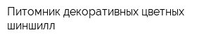 Питомник декоративных цветных шиншилл