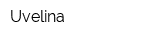Uvelina