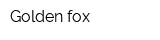 Golden fox