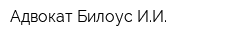 Адвокат Билоус ИИ