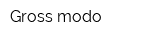 Gross modo