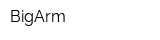 BigArm
