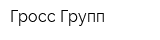 Гросс-Групп