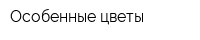 Особенные цветы
