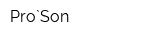Pro`Son