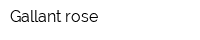 Gallant rose