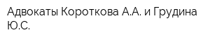 Адвокаты Короткова АА и Грудина ЮС