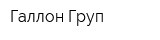 Галлон Груп
