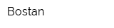 Bostan