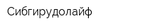 Сибгирудолайф