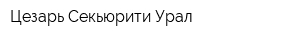 Цезарь Секьюрити Урал