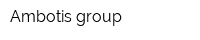 Ambotis group