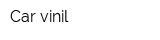 Car-vinil