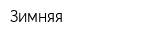 Зимняя