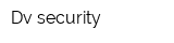 Dv security
