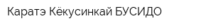 Каратэ Кёкусинкай БУСИДО