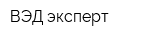 ВЭД-эксперт