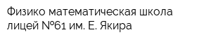 Физико-математическая школа-лицей  61 им Е Якира