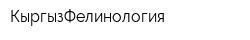 КыргызФелинология