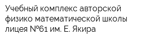 Учебный комплекс авторской физико-математической школы-лицея  61 им Е Якира