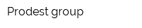 Prodest group
