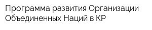 Программа развития Организации Объединенных Наций в КР